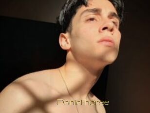 Daniel_horse