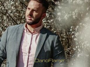 DarioFlamer