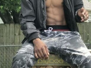 Day1DOG