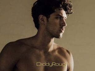 DiddyRough
