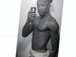DigoBoss