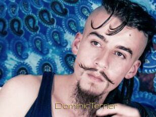 DominicTerrier