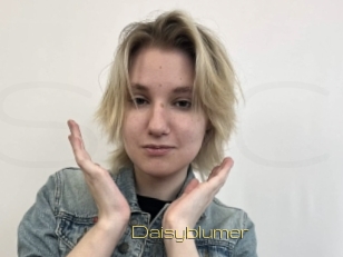 Daisyblumer