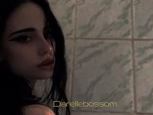 Darellebossom