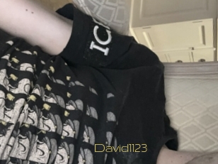 David1123
