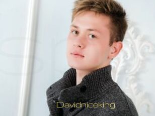 Davidniceking