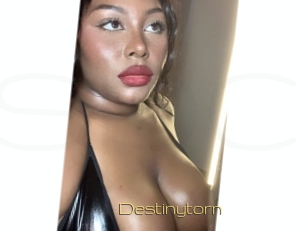 destinytorn Super Cul