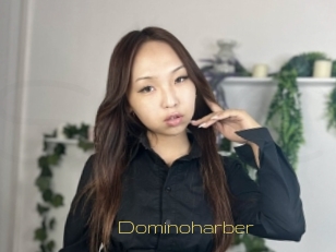 Dominoharber
