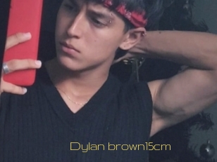 Dylan_brown15cm