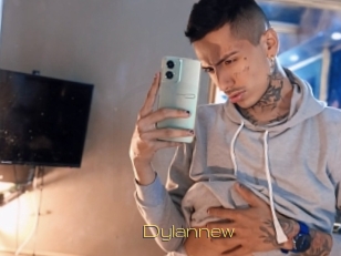 Dylannew