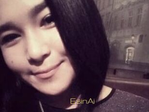 EsinAi