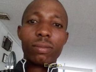 Egovin