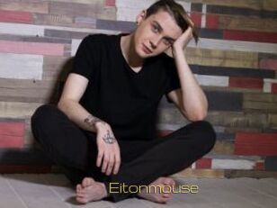 Eitonmouse