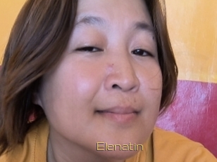 Elenatin