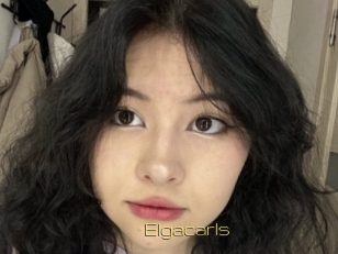 Elgacarls