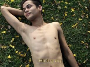 Eliotgrey