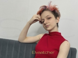Elvaatcher
