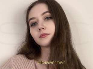Elviaamber