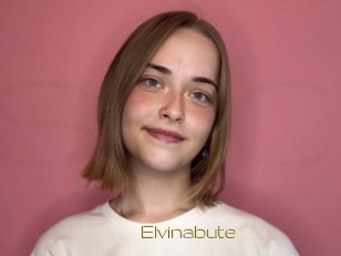 Elvinabute