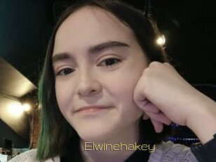 Elwinehakey