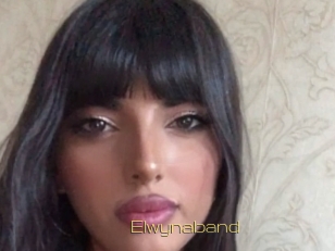 Elwynaband