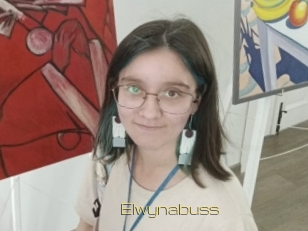 Elwynabuss