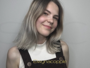 Elwynacopple