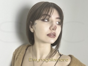 Elwynagallamore