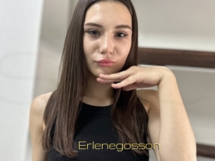 Erlenegosson