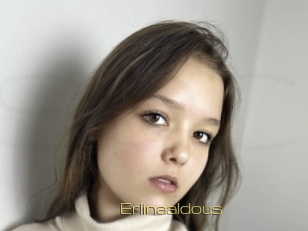 Erlinaaldous