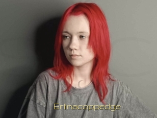 Erlinacoppedge