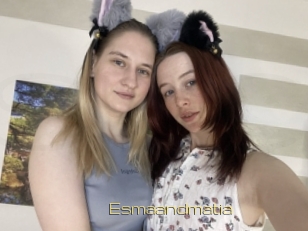 Esmaandmatia
