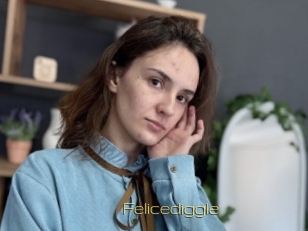 Felicediggle
