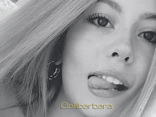 Gallibarbara