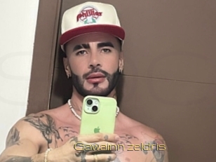 Gawainn_zeldris