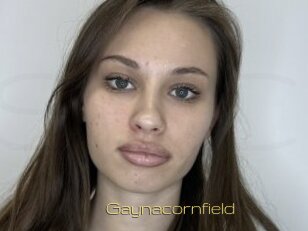 Gaynacornfield