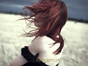 Gingercat