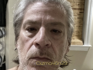 Gizmo46n29