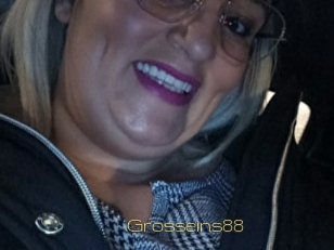 Grosseins88