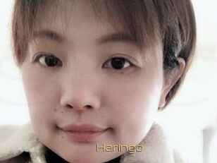 Haringo