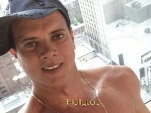 Hollytop