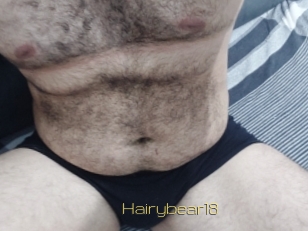 Hairybear18