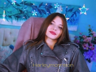 Harleymorrison