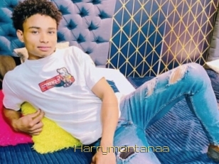 Harrymontanaa