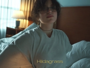 Hildagrass