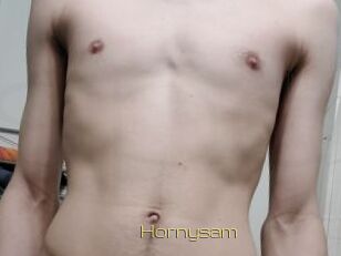 Hornysam