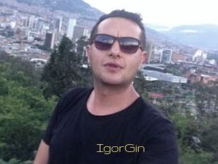 IgorGin