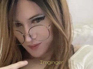 Imginger