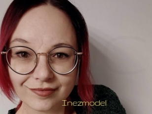 Inezmodel
