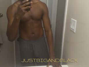 JUSTBIGANDBLACK